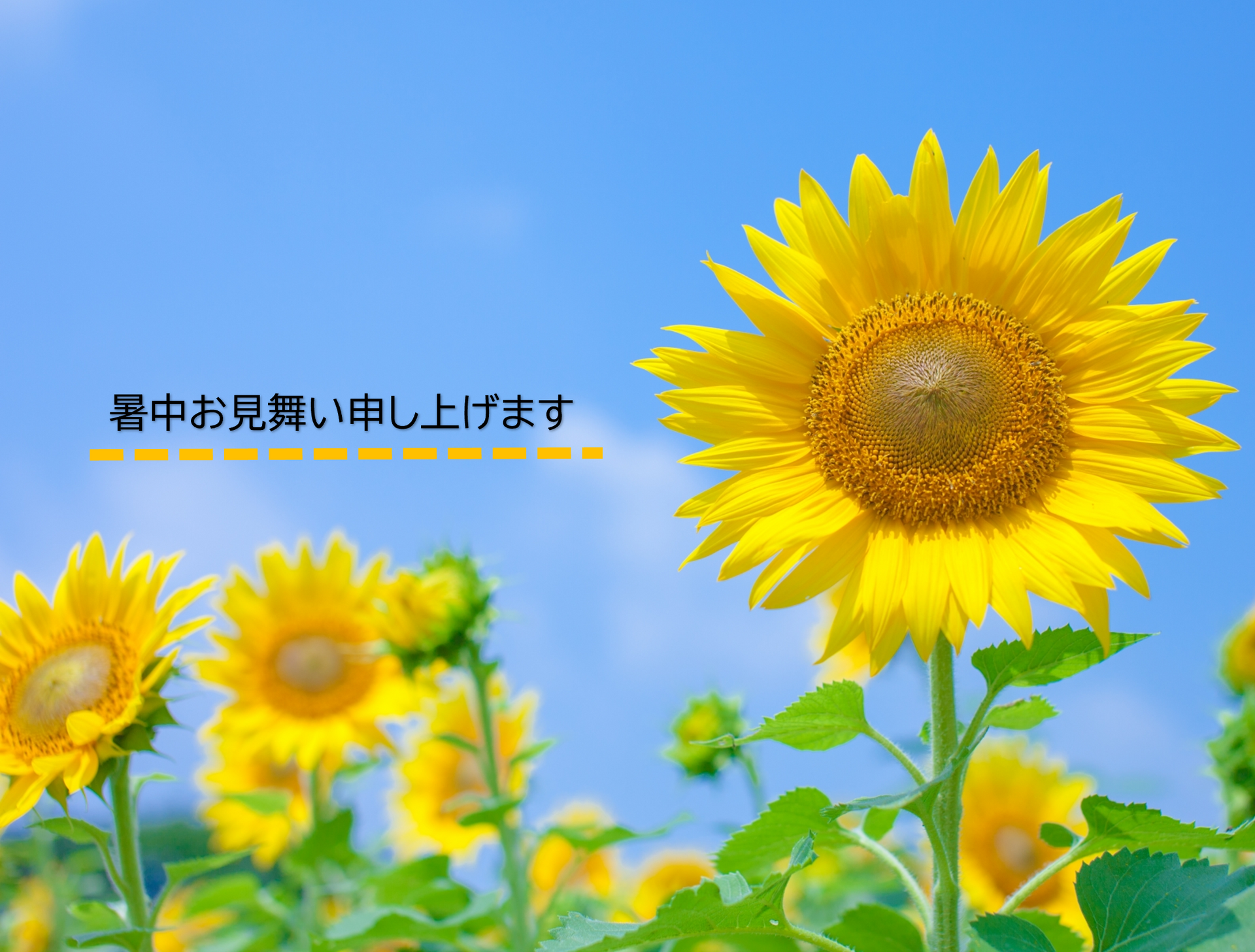 暑中お見舞い申し上げます